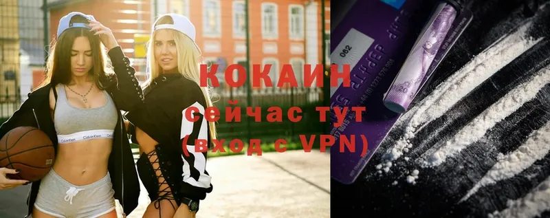 маркетплейс наркотические препараты  Губаха  COCAIN 99% 