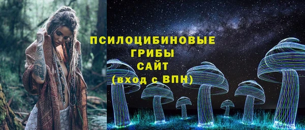 стафф Елабуга