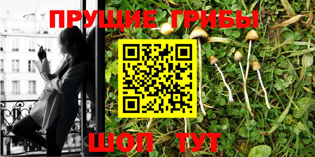 Псилоцибиновые грибы Magic Shrooms  Вход с VPN  Галлюциногенные грибы мицелий  Губаха 
