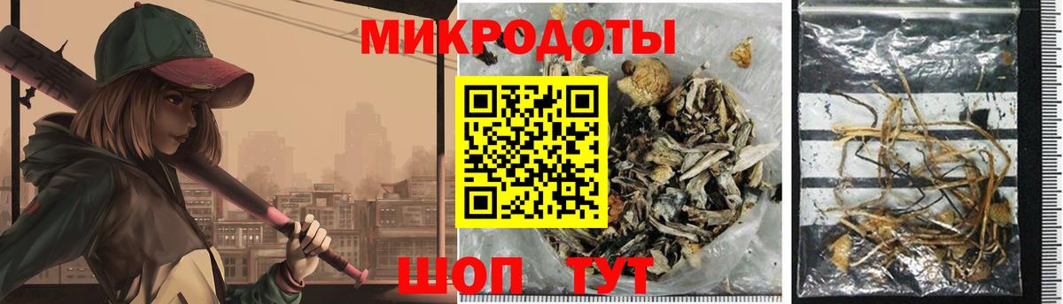 Псилоцибиновые грибы мухоморы  Губаха 