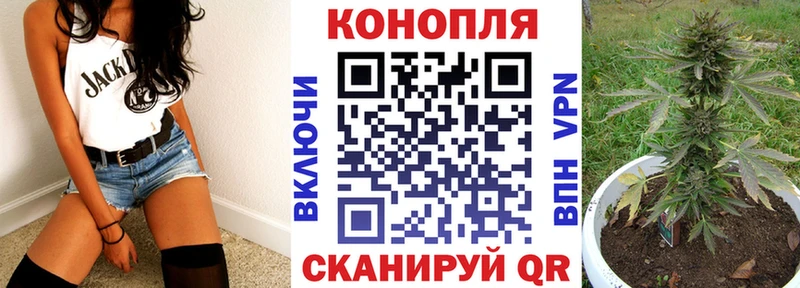купить наркотик  Губаха  Канабис SATIVA & INDICA 